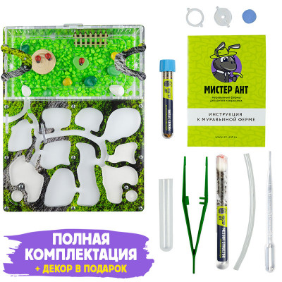 Комплект муравьиной фермы Медиум "Горный мох"